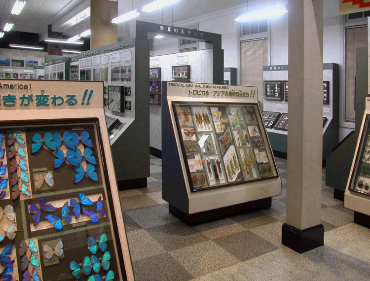 1階展示室