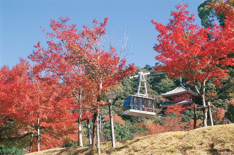 岐阜公園の紅葉