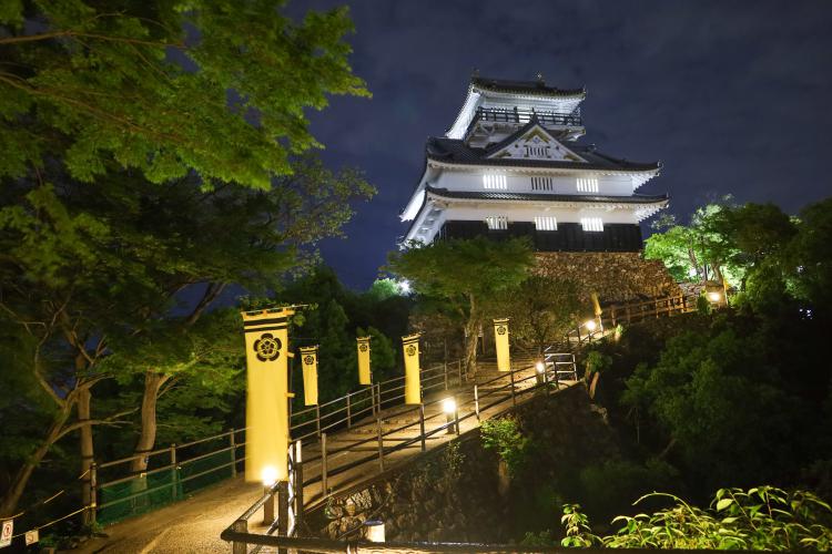 夜の岐阜城