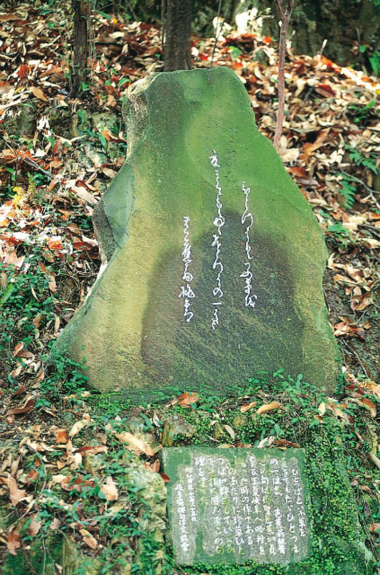 夏きてもただひとつばの一葉哉