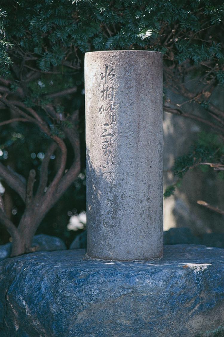 水相似(みずあひにた)り三またの夏