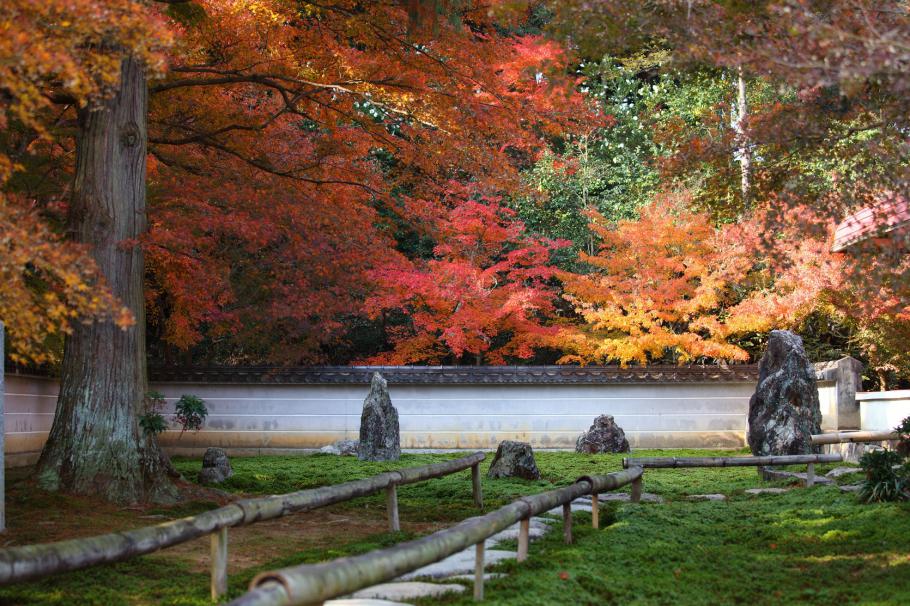 真長寺