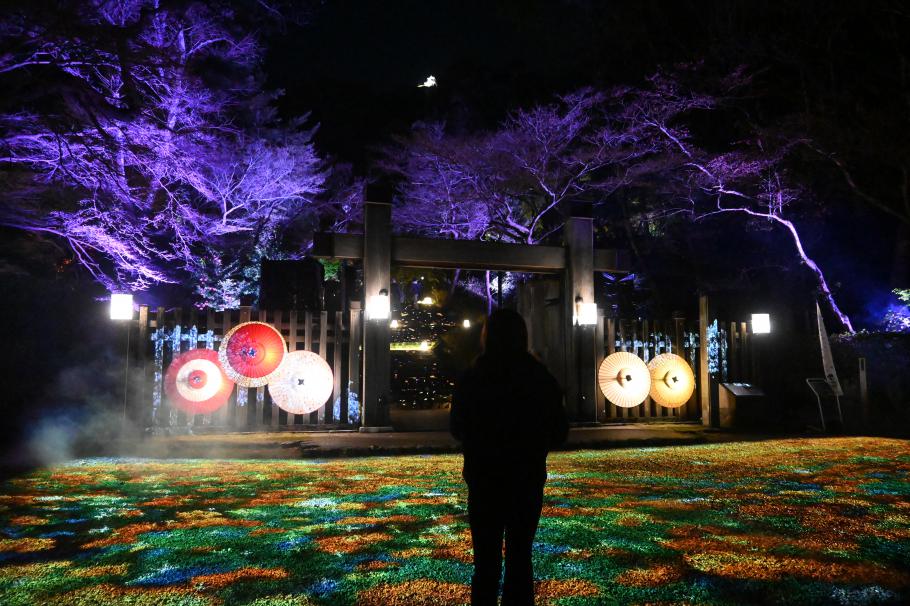 ぎふ灯り物語 2026 が開催中です!