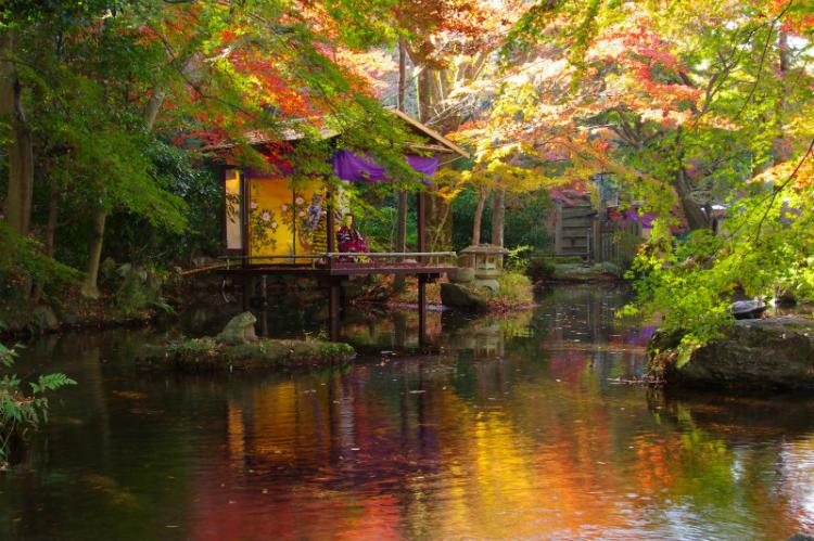 錦秋岐阜公園/本間 かよ