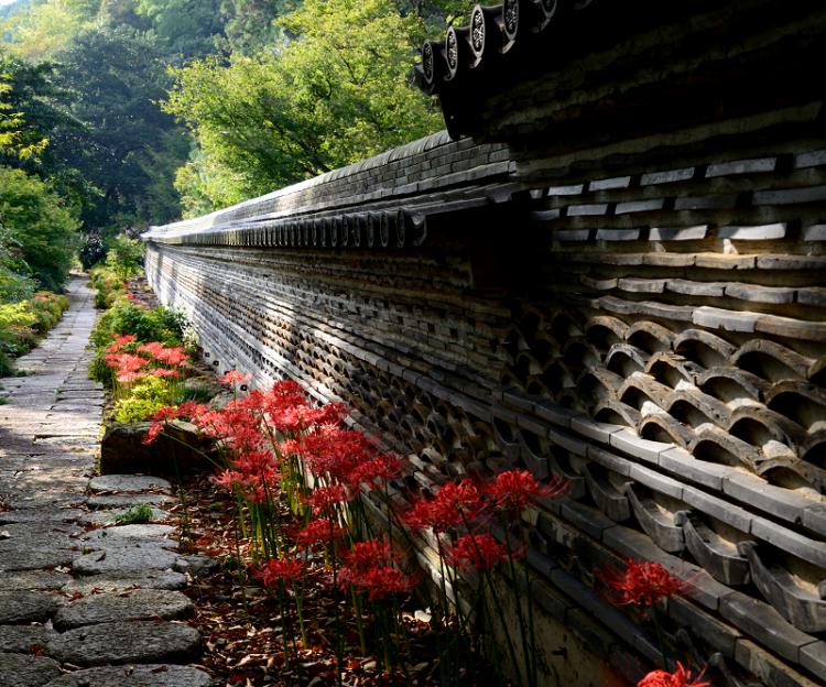 瓦土塀と彼岸花/鈴木 哲夫
