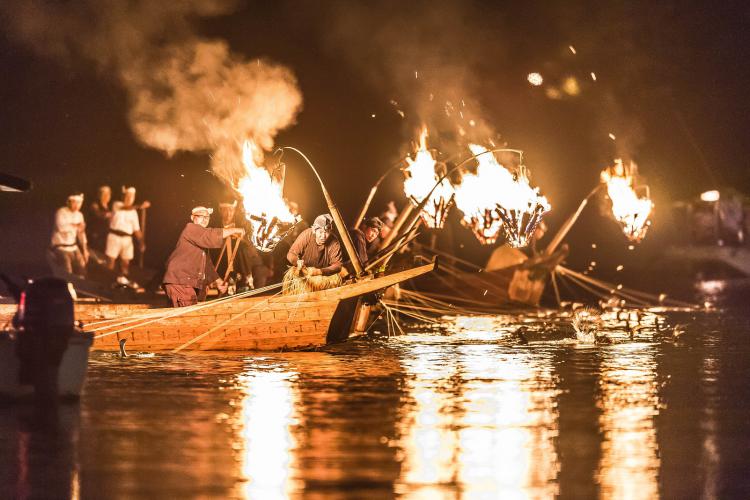 ぎふ長良川鵜飼総がらみ/岡部 広明