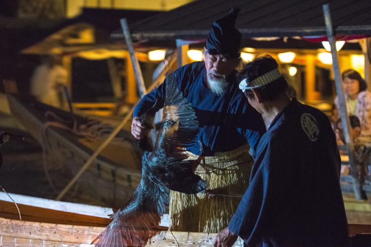 鵜の羽ばたき/淺野 康子