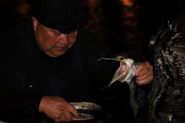 ごほうび/桐山 晃一