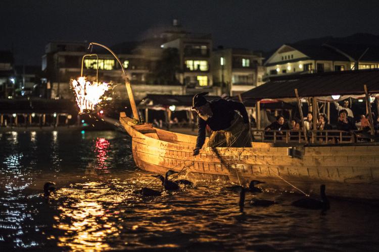 今日も頑張ったな~鵜飼いの終焉/杉山 浩