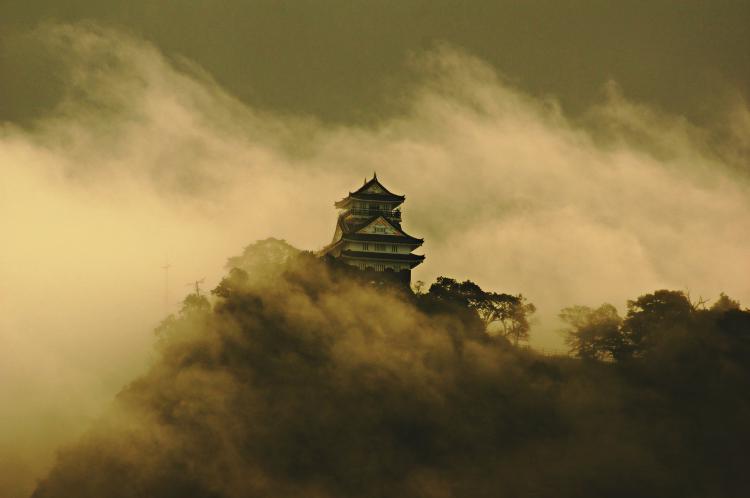 風雲 岐阜城/大野 孝男