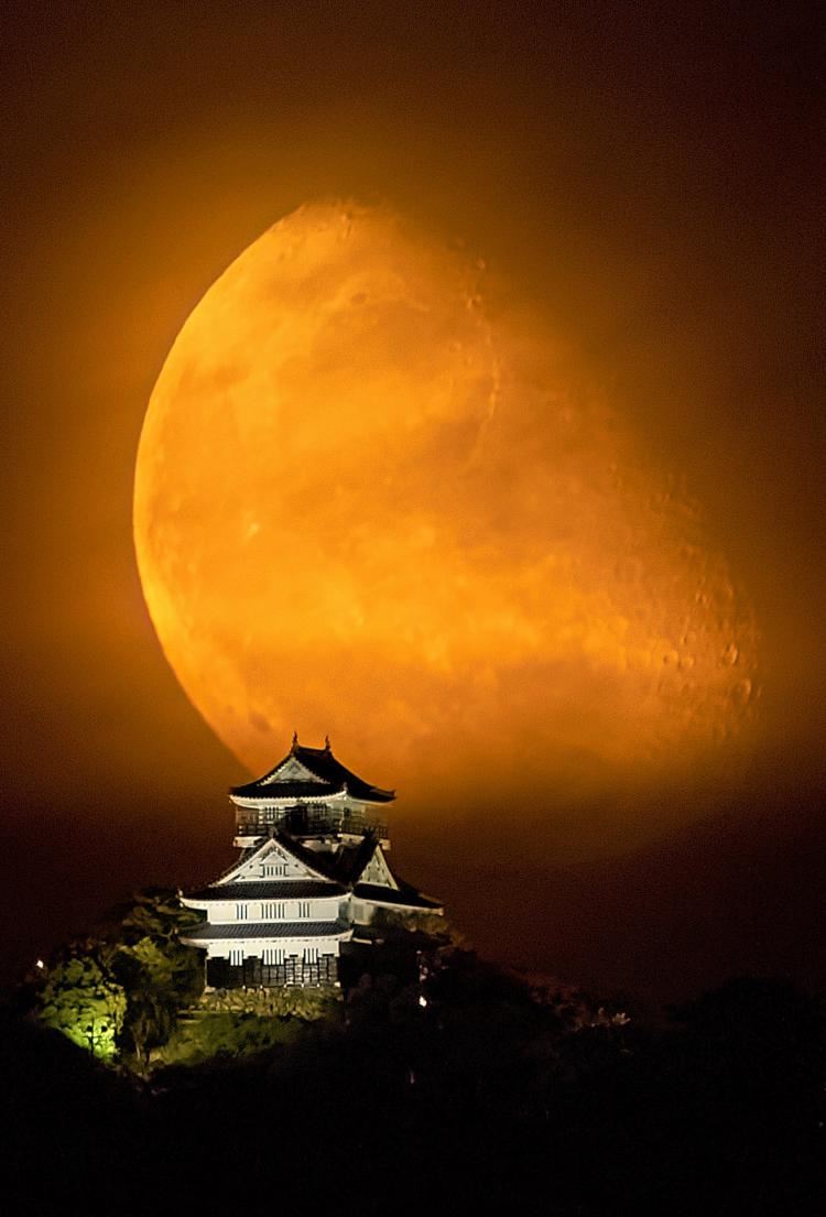 岐阜城に昇る朧月/堀 康典