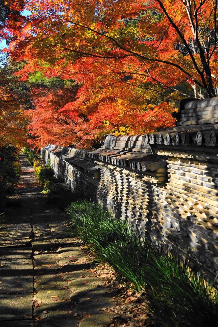 秋彩/稲垣 新二