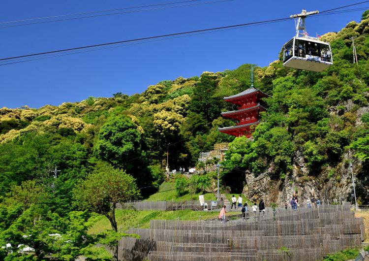 金華山行楽日和/高橋 雄治